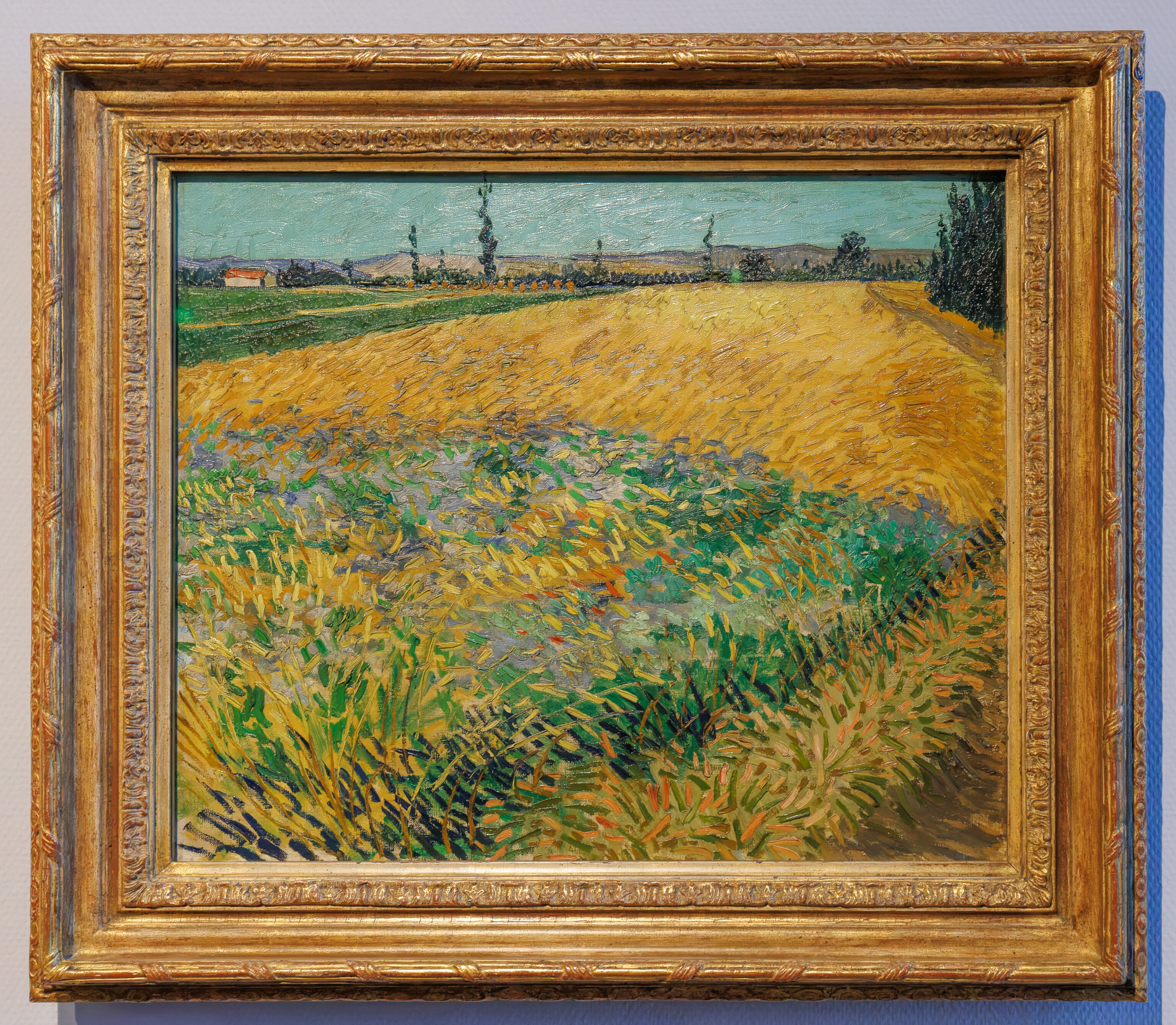 Vincent van Gogh, Wheatfield, 1888