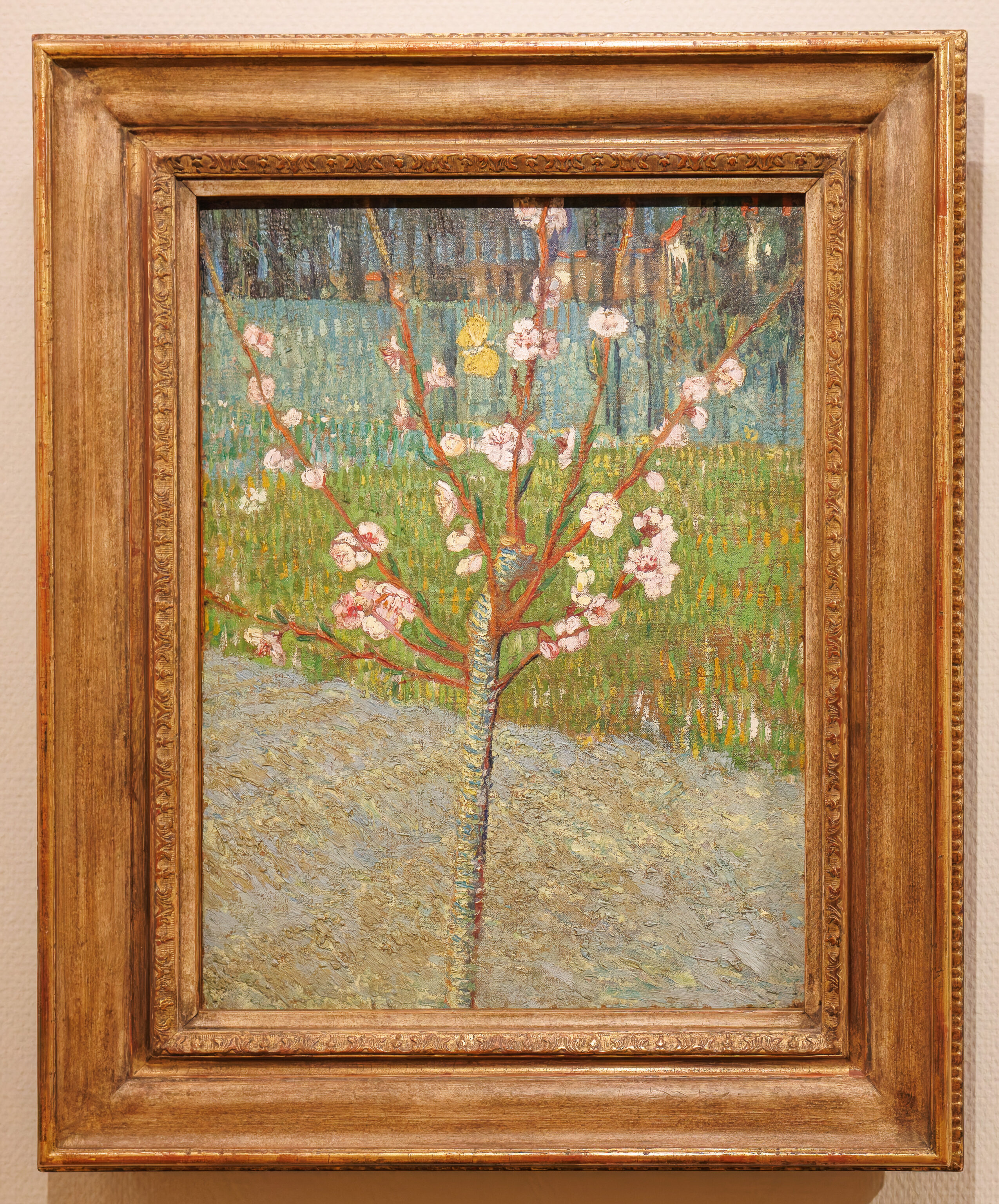 Vincent van Gogh, Peach Tree in Blossom, 1888