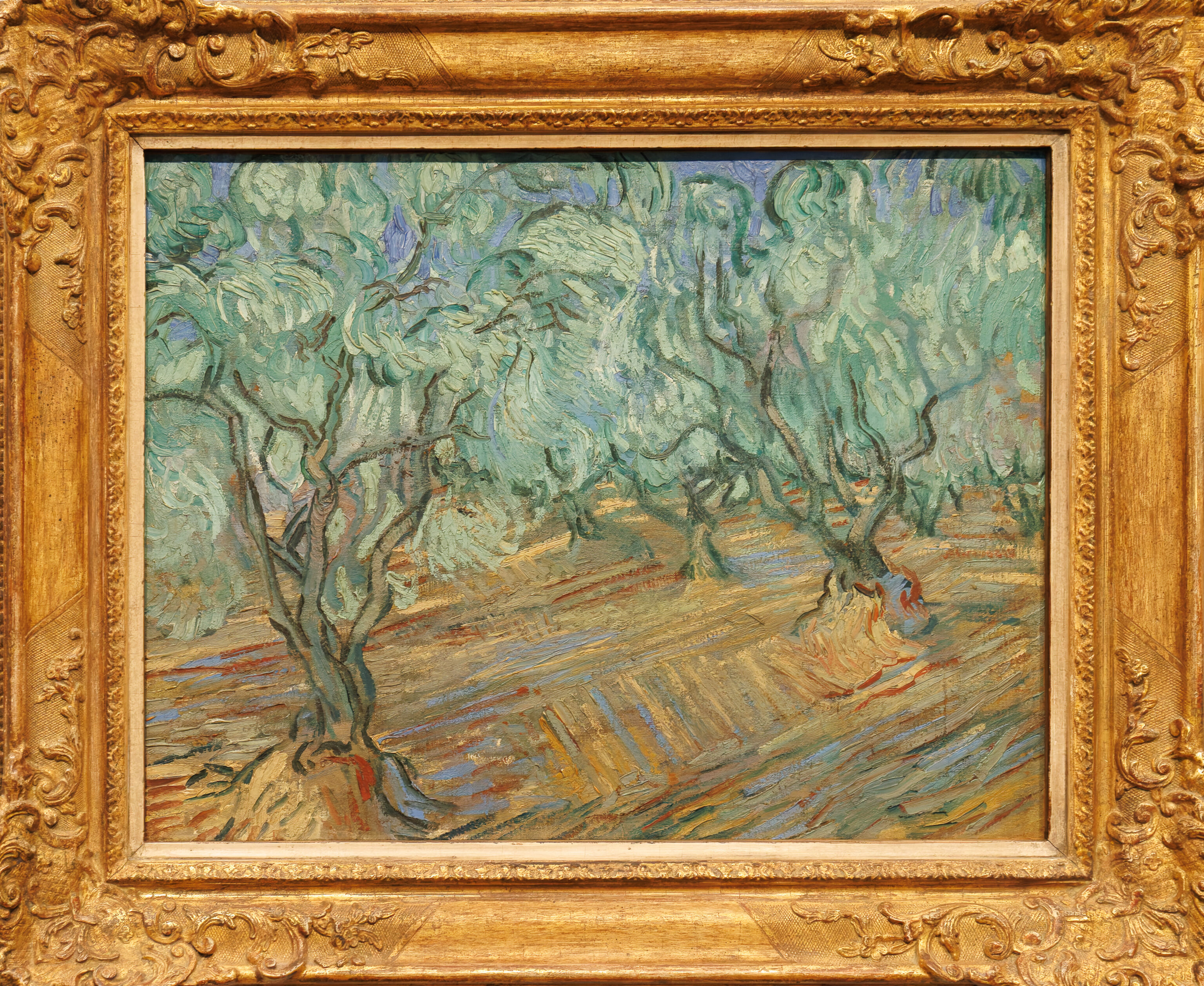 Vincent van Gogh, Olive Grove, 1889