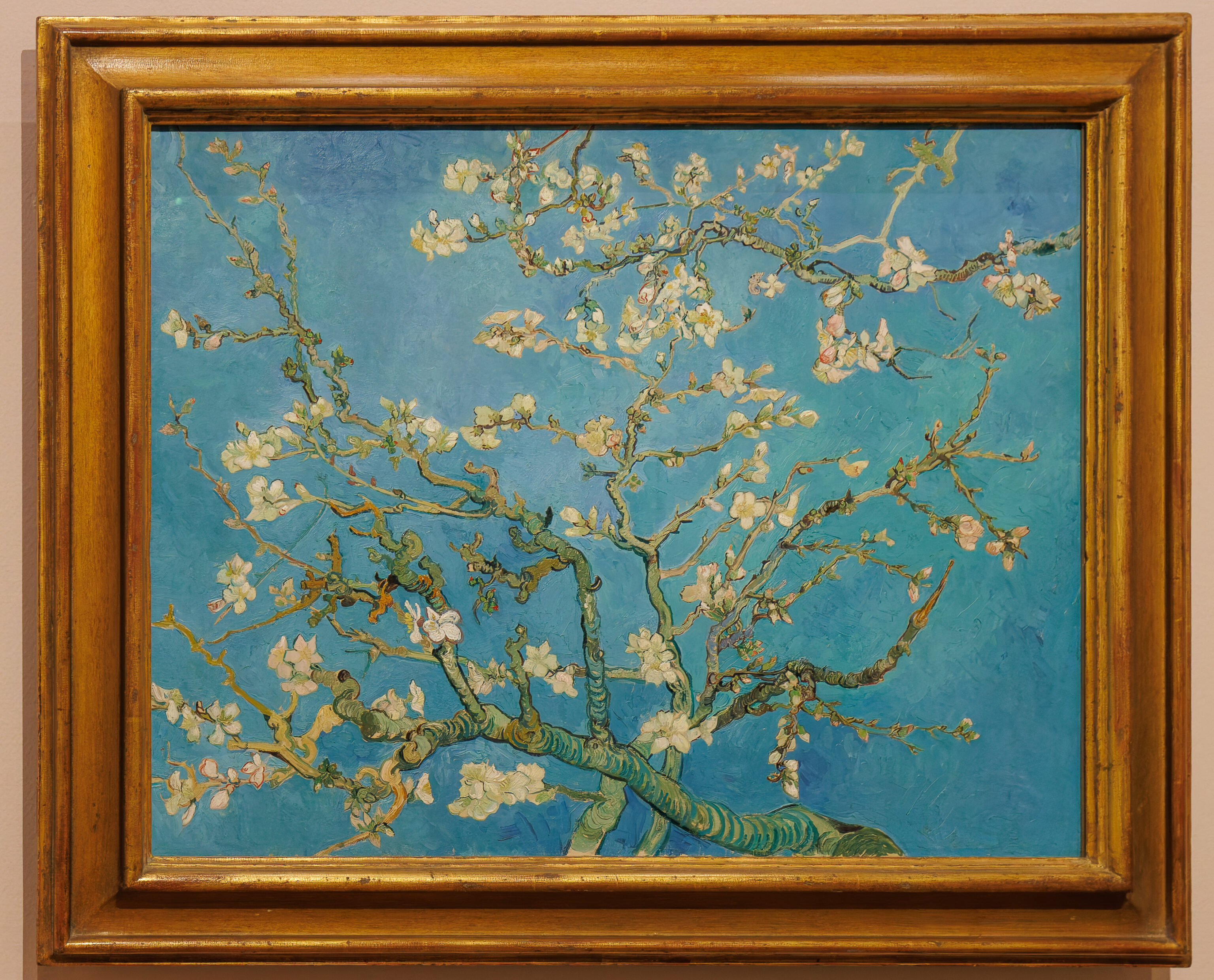 Vincent van Gogh, Almond Blossom, 1890